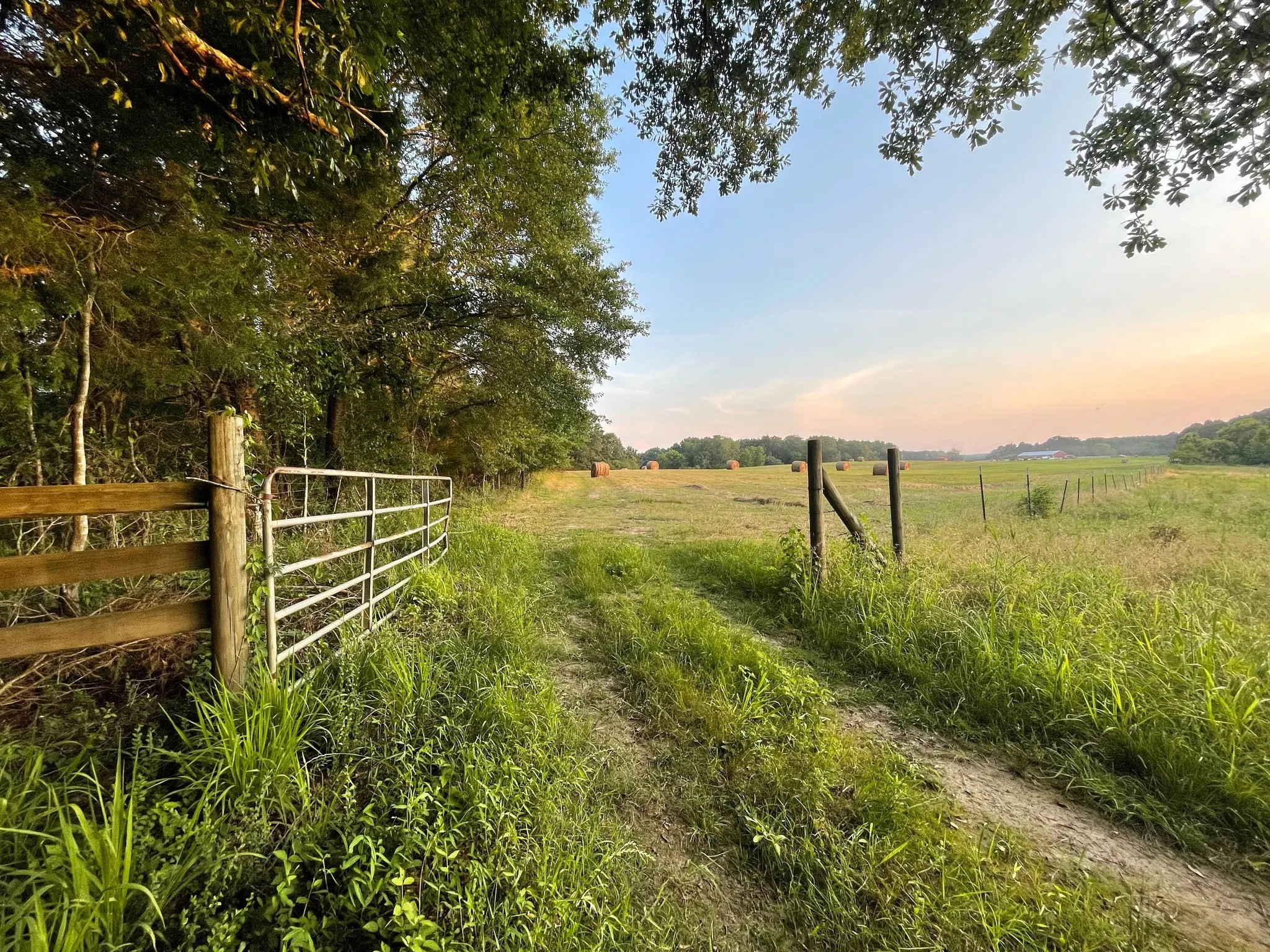 Scenic trail rides through beautiful countryside